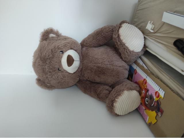 Nounours de toute sorte et de taille