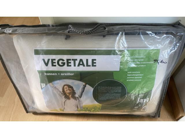 Oreiller Jari Vegetale 60 x 40