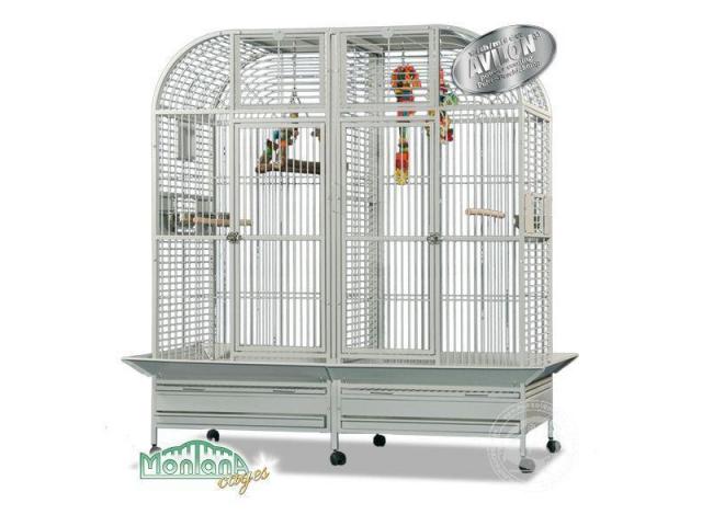 palais perroquet cage