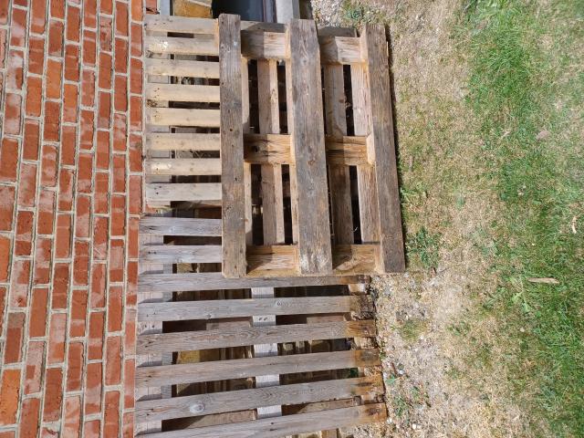 Palette en bois