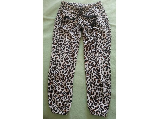 Pantalon imprimé léopard