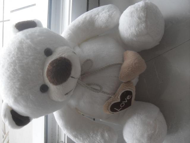Photo Peluche Ours blanc image 1/2
