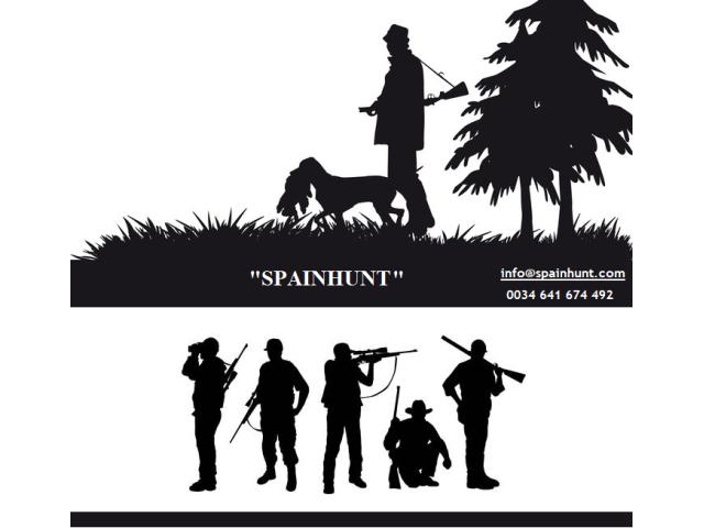 PERDRIX - LAPINS- GRIVES / TÉRRITOIRE DE CHASSE EN CATALOGNE-NORD.