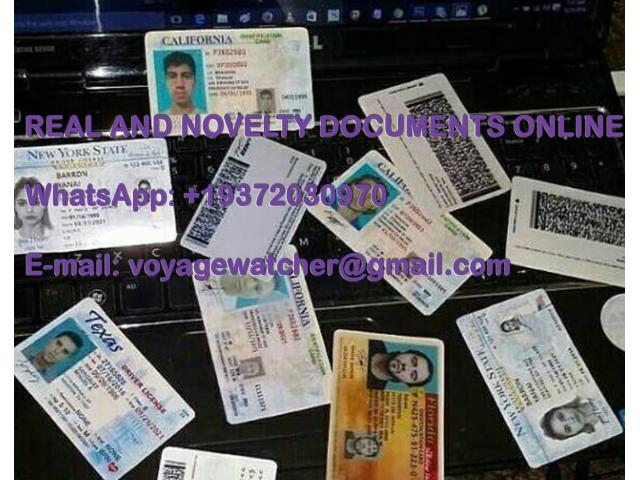 Photo Permis de conduire, passeport, visa en ligne image 1/1