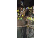 Annonce Perruche ondulée