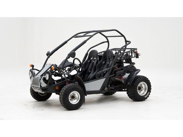 PGO 250 Buggy '2009 CH06569