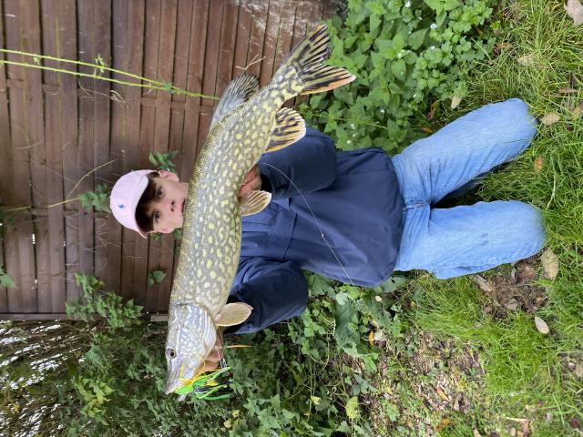 Photo Poisson carnassier brochet perche truite image 1/1