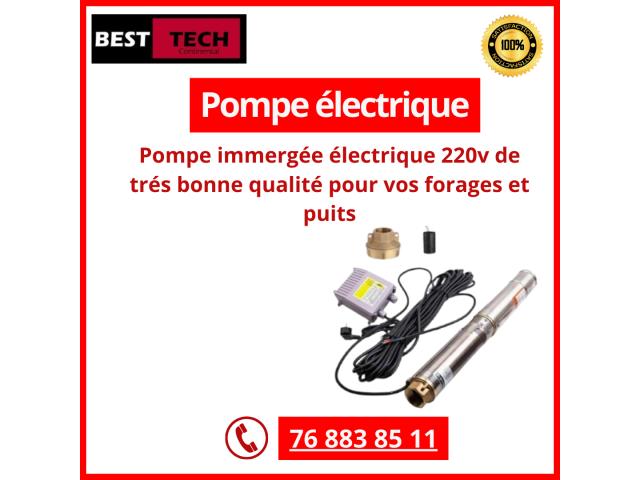 POMPE ELECTRIQUE IMMERGEE 220V
