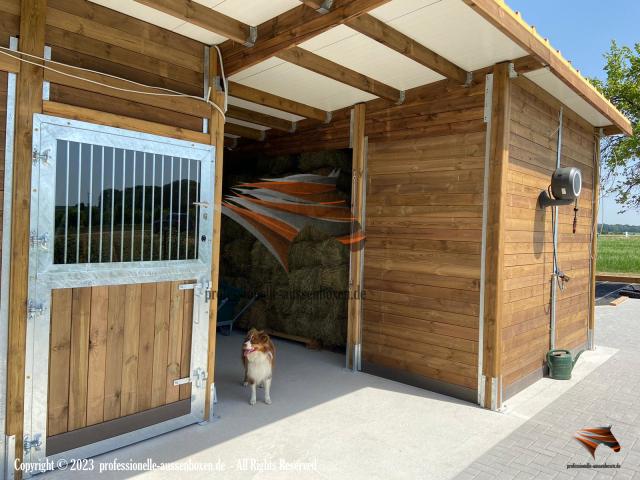 Portes d’écurie et portes coulissantes & Portails et portes de box robustes pour chevaux