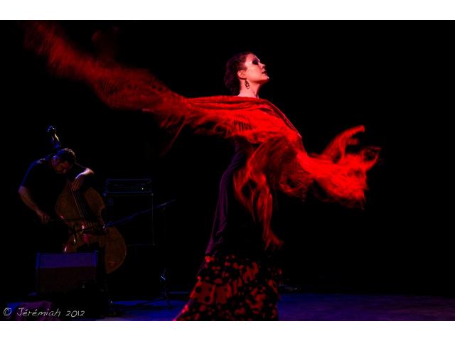 Photo Prestations/Animations Flamenco à Paris et France entière image 1/4