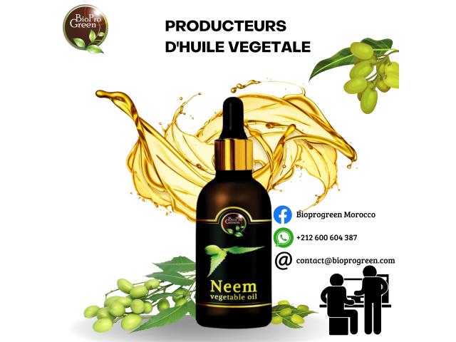 producteur d'huile végétale de neem au Maroc
