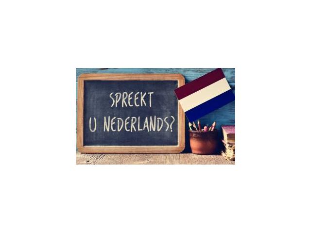 Professeur néerlandais donne cours de néerlandais
