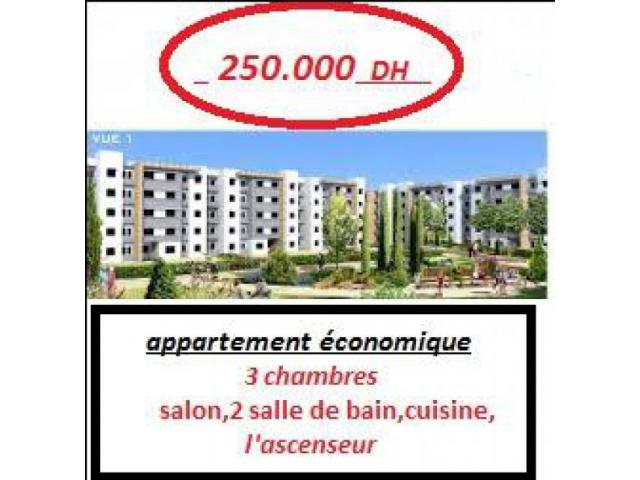 projet économique sur deroua