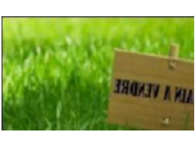 Projet en Lancement, Prix IMBATTABLE, Deroua