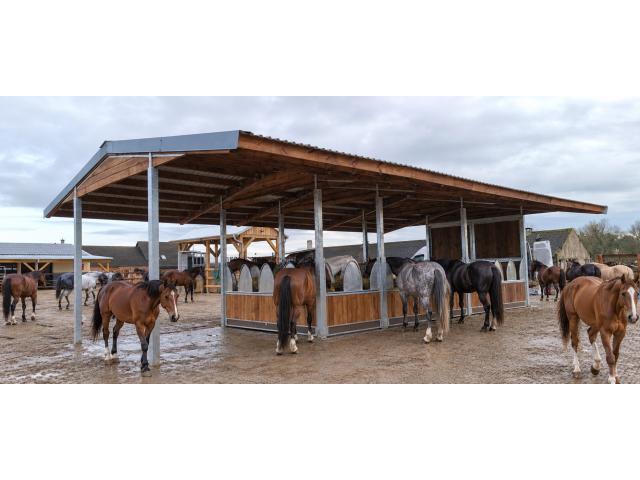 Photo Râtelier à foin pour chevaux & Râtelier intégré dans un Abri | Abri pour chevaux image 1/6