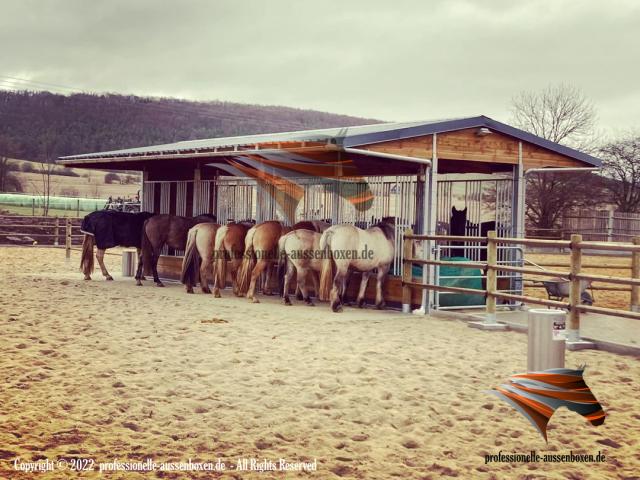 Râtelier à foin - Râtelier pour chevaux de prairie ACTIVE