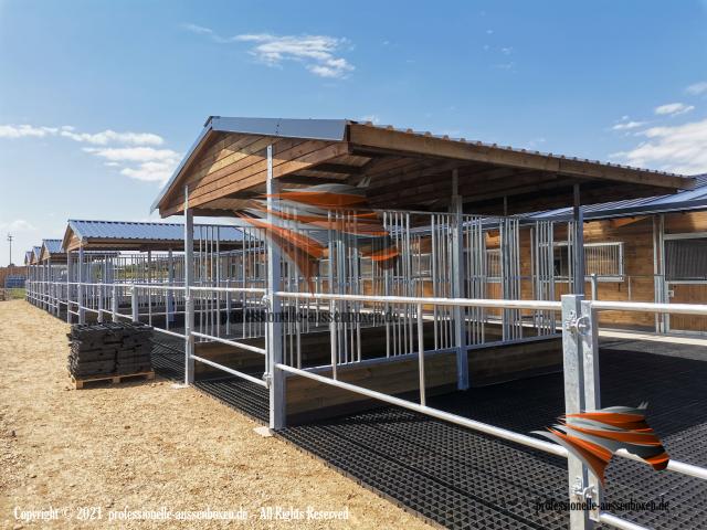 Râtelier pour chevaux & Râtelier de prairie - Râtelier avec toit / Râtelier à foin