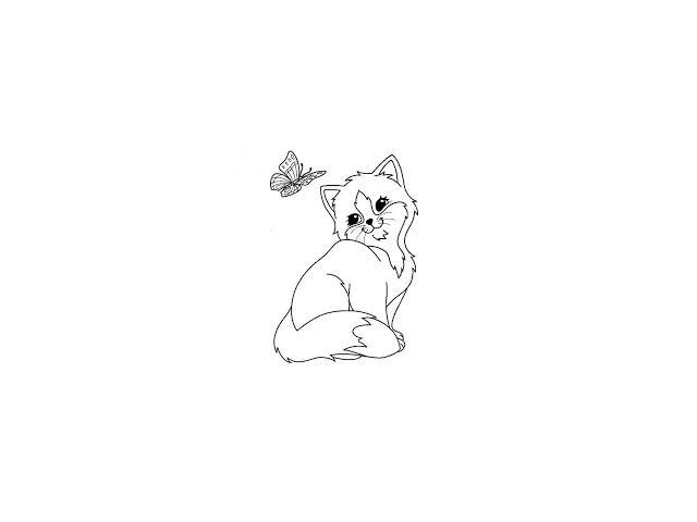 recherche 1 chaton femelle a donner