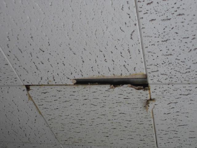 Photo recherche dalle plafond image 1/3