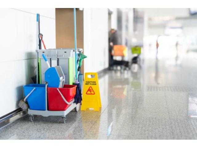 Recherche une femme de ménage polyvalente