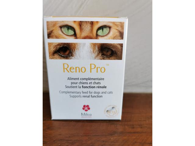 Reno-pro