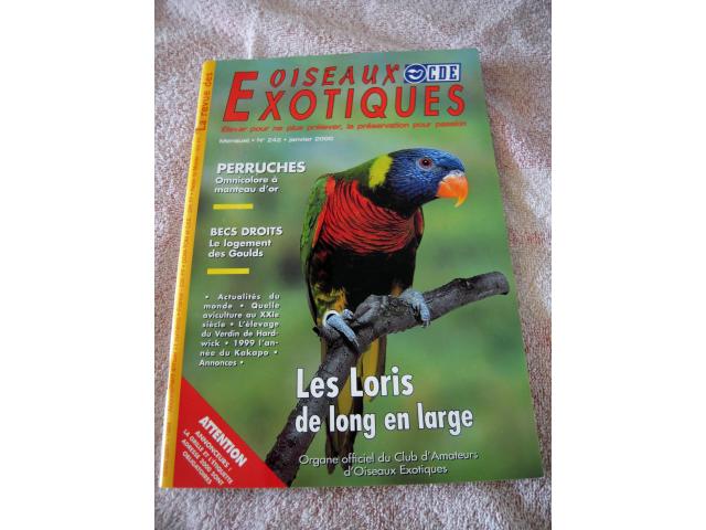 Revues LORIQUETS ( Swainson .. ) et les LORIS en long en large oiseaux exotiques, oiseaux documentat