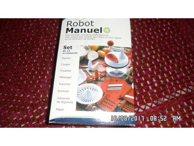 Robot manuel