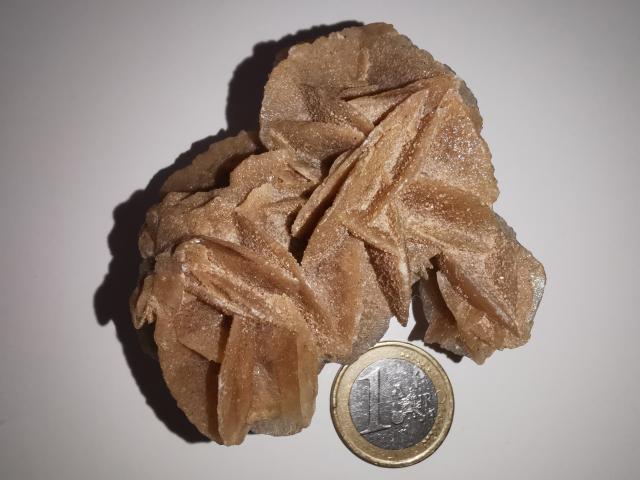 Photo Rose des sables-minéraux de collection image 1/1