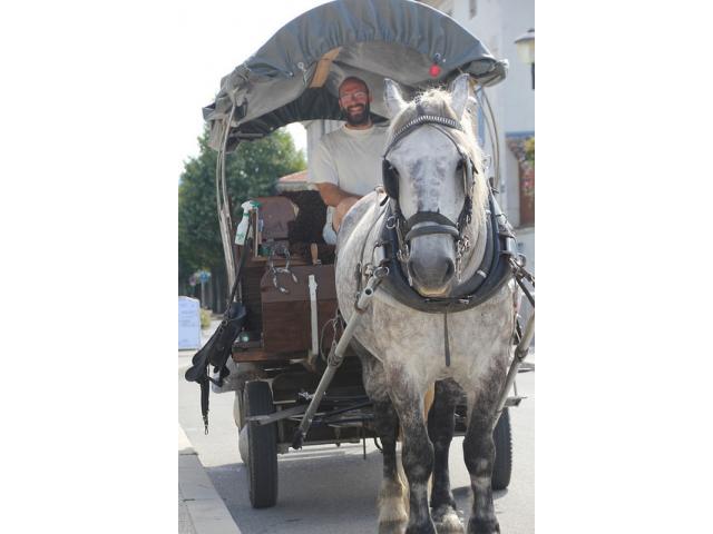 Roulotte chariot bâché suisse