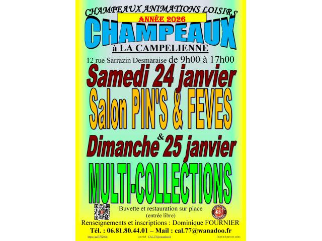 Photo Salon Multi-collections à CHAMPEAUX (77) le 25/01/2026 image 1/2