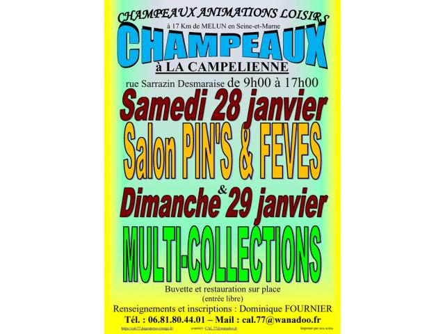 Salon Multi-collections à CHAMPEAUX (77) le 29/01/2023