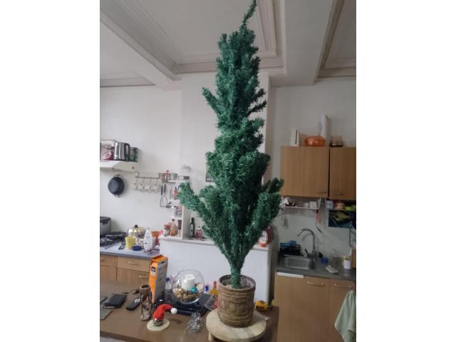 sapin de noël sans pied 1m50 + déco