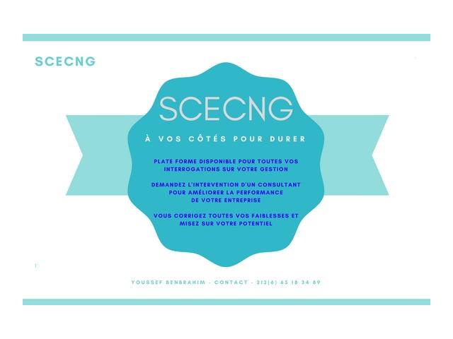 SCECNG PLATE FORME CONSEILS GESTION