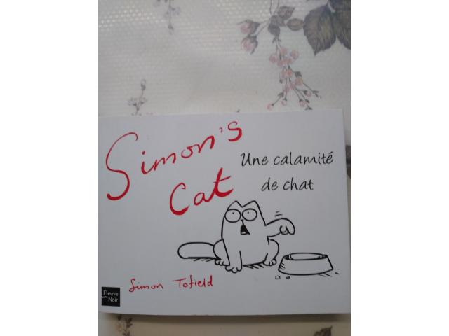 Photo Simon's Cat. Une calamité de Chat image 1/2