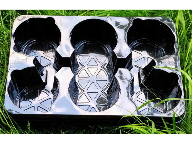 Photo Soucoupe rectangulaire noire à coins arrondis pour 6 pots de fleurs. image 1/1