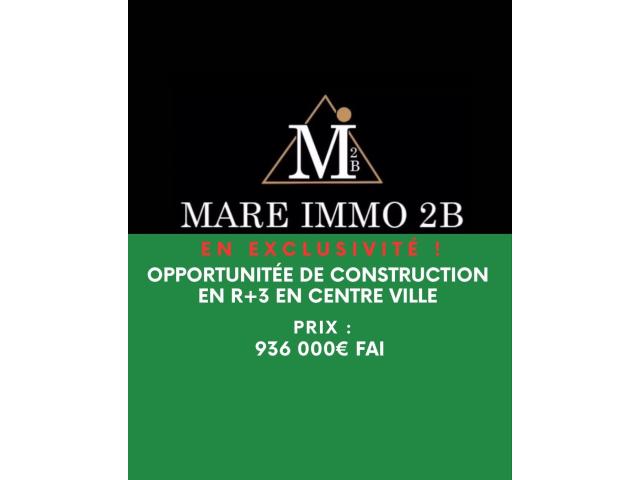 Spécial Investisseurs