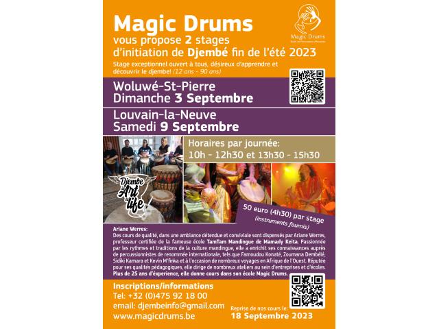 Photo Stage de Djembe, Magic Drums image 1/1