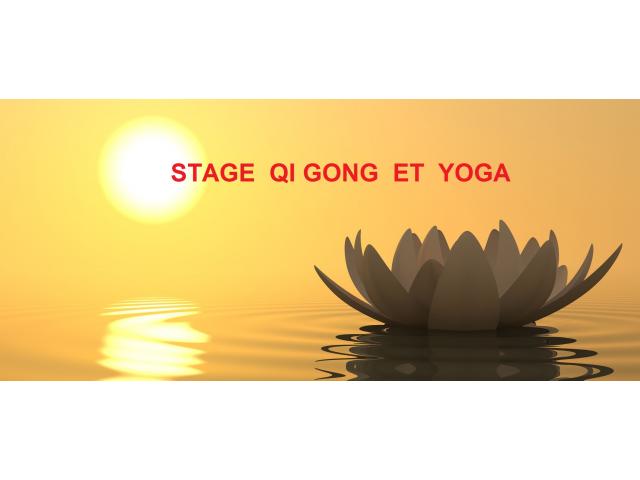 Stage de Qi Gong et de Yoga