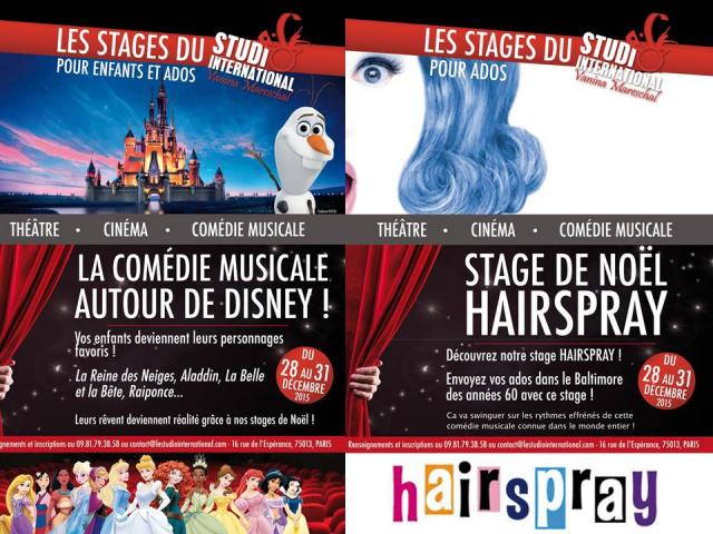 Stages Hairpsray et Disney