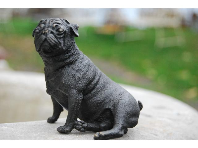 Photo Statue d'un chien carlin en bronze signé. image 1/6