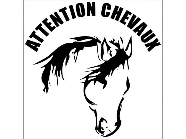 Photo stickers autocollants ATTENTION CHEVAUX image 1/2