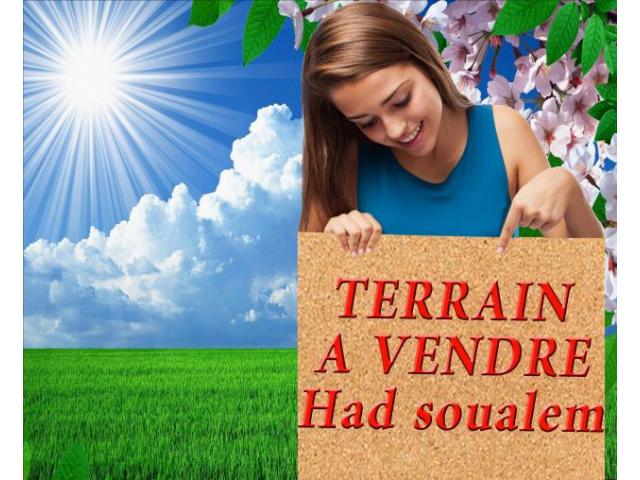 Super terrain d'environ 100m2