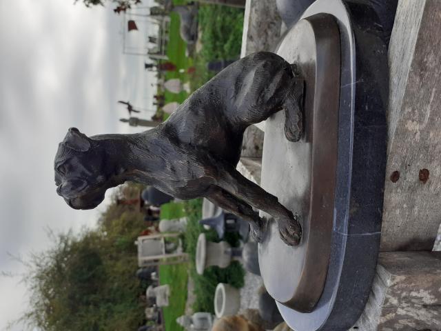 SUPERBE BOXER ASSIS EN BRONZE SUR SOCLE MARBRE