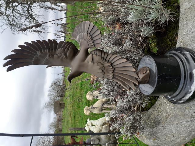 SUPERBE BRONZE ANIMALIER (le vol du pigeon).