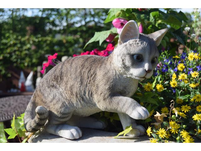 Superbe chat gris tigré en polyrésine de grande qualité