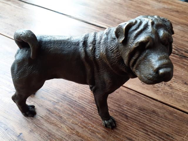 Superbe chien shar-pei en bronze