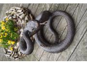 Annonce SUPERBE SERPENT A SONNETTE EN BRONZE