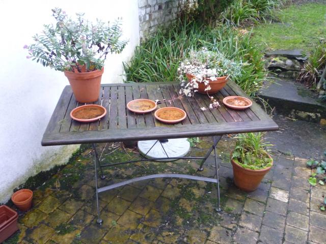Table de jardin et barbecue