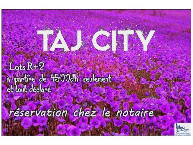 TAJ CITY terrain R + 2