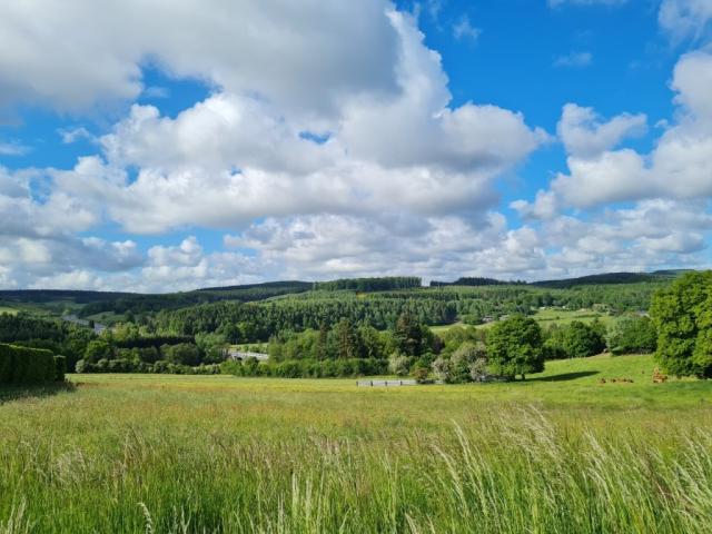 Photo Tenneville - Ortheuville : terrain à batir, 14a 79ca, pour maison 4 faç. image 1/3